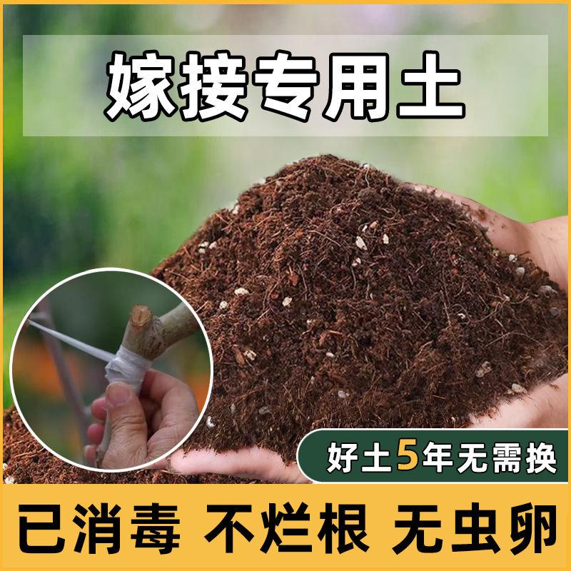 嫁接专用土营养土扦插花土培育土培养土壤泥土种植土肥料腐殖土
