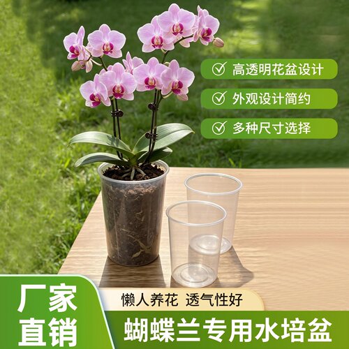 蝴蝶兰专用控根水培套盆热植龟背竹懒人观根半水培花盆湿养闷养杯