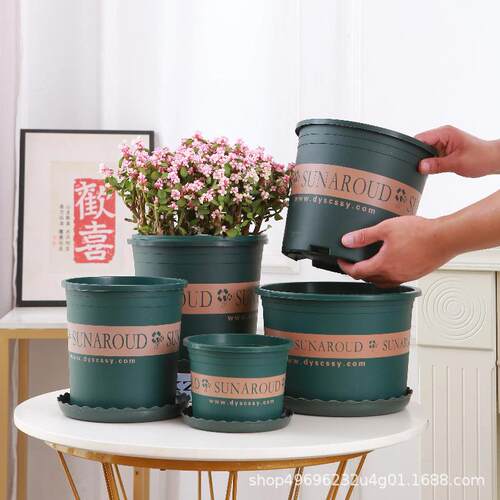 加仑花盆阳台塑料树脂多肉小绿萝大加仑盆月季盆栽绿植盆矮款托盘