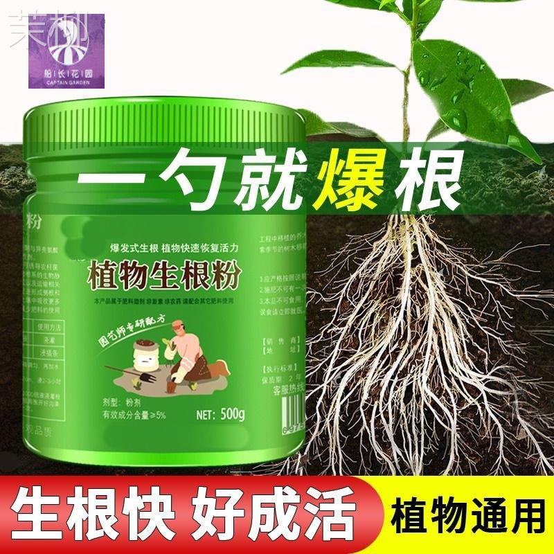 植物通用生根粉树木壮苗生根剂扦插移栽多肉营养液快速生根液