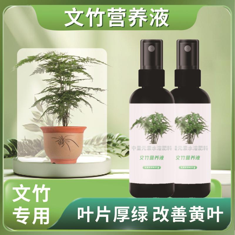 【四季爆芽】文竹专用肥营养液治叶子发黄枯瘦干尖烂根落叶促生长
