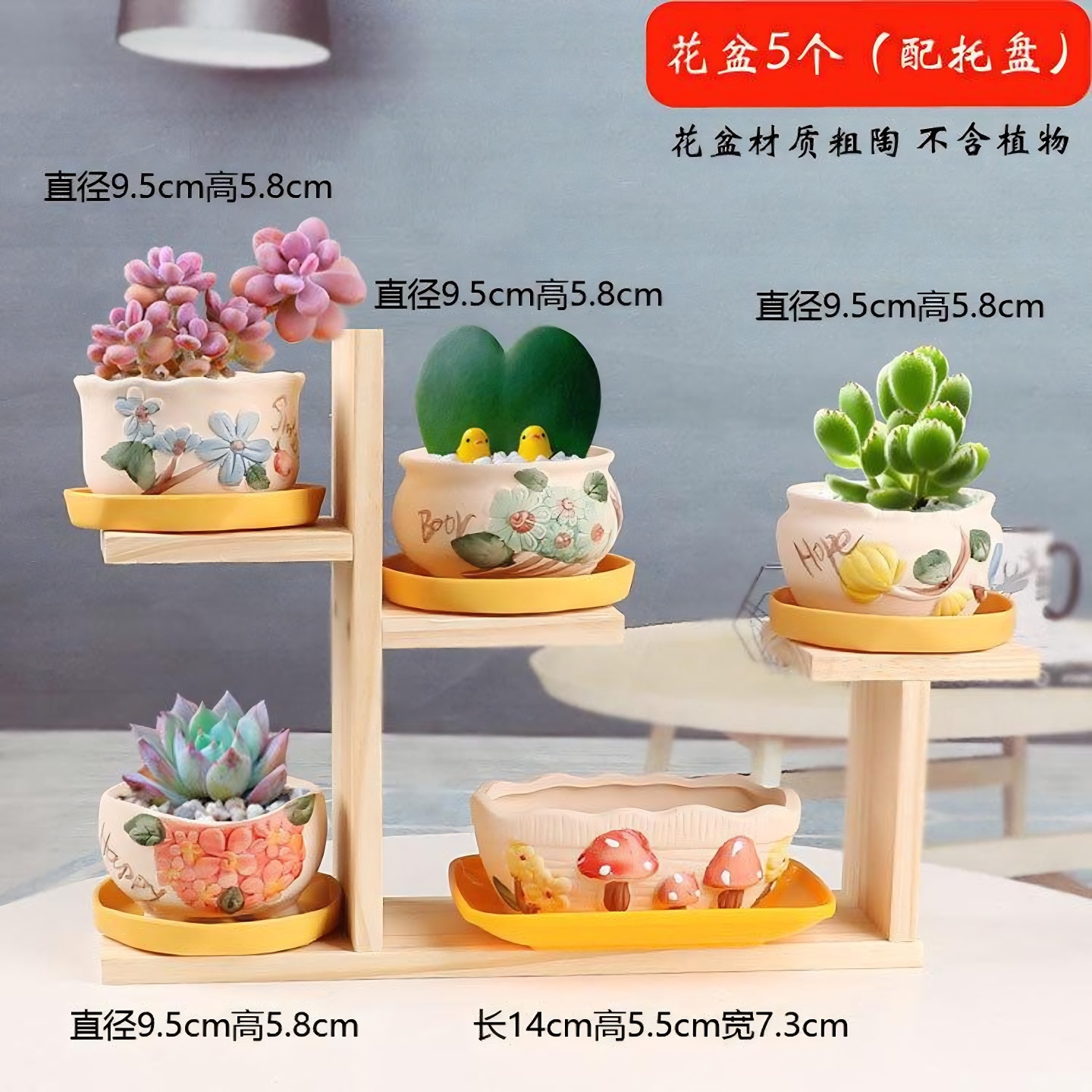 多肉花盆陶瓷圆形简约创意个性透气室内家用小绿植盆栽摆件带托盘