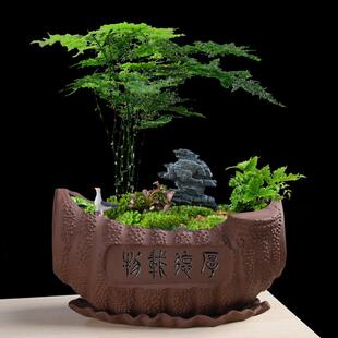 紫砂花盆陶瓷大口径带托盘家用创意大号多肉兰花文竹造景盆栽清仓