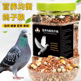 冠之亚鸽子粮食饲料食粮信鸽赛鸽种鸽专用营养粮玉米鸟食鸽子粮食