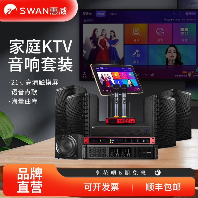 Hivi/惠威专业家庭KTV音响套装