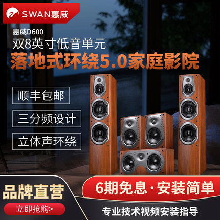 Hivi/惠威 D600家庭影院音响套装5.1环绕杜比全景声木质落地音箱