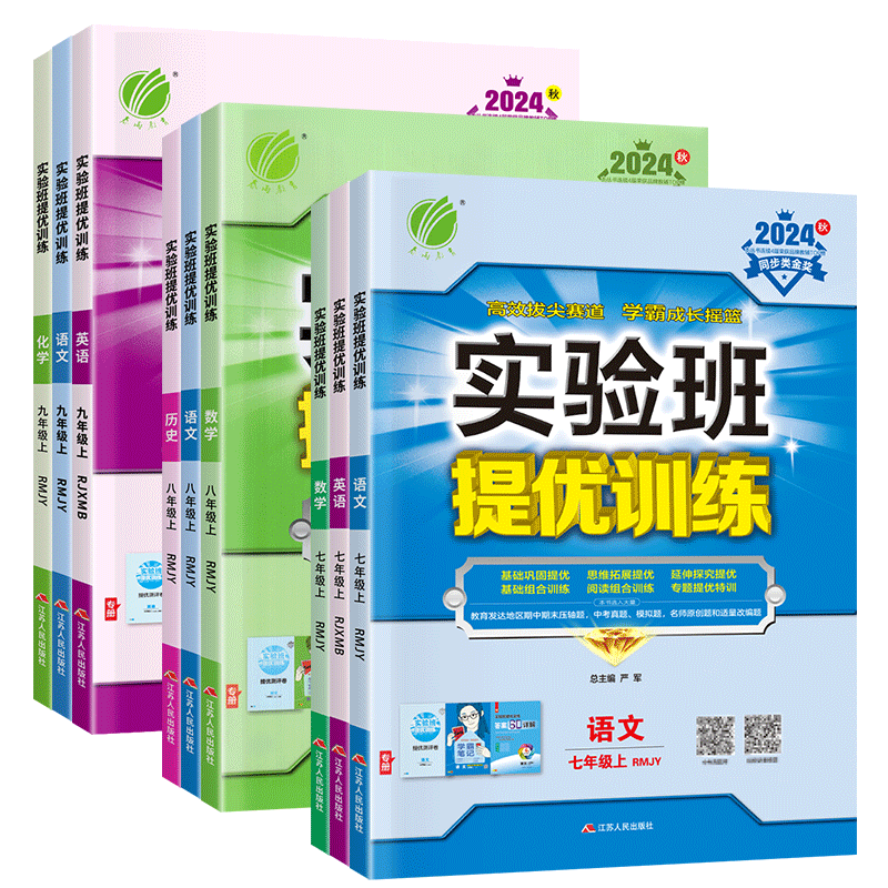 2024秋实验班提优训练初中