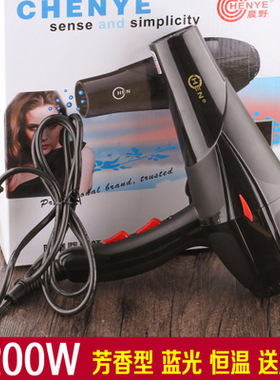 2200W Blue Light Hair Dryer Hot Cold Wind Hairdryer 电吹风机