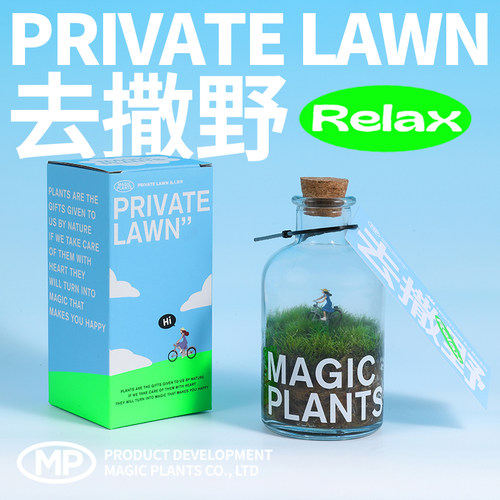 苔藓微景观私人草坪创意绿植盆栽