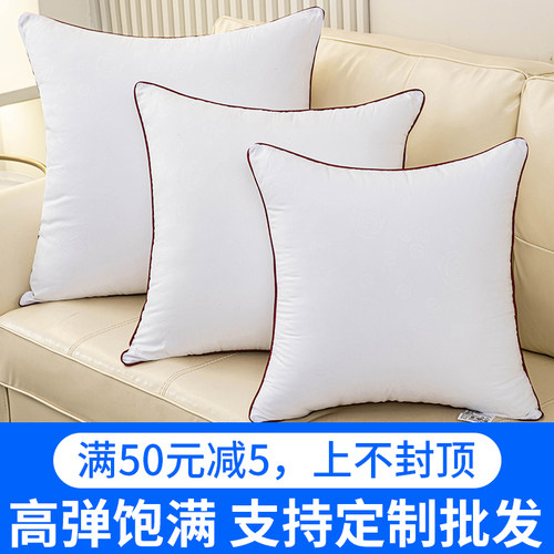 内胆沙发江苏抱枕芯靠垫