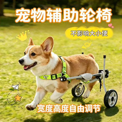 宠物残疾狗轮椅后肢辅助助力车瘫痪老年狗前肢代步后腿猫咪助行车