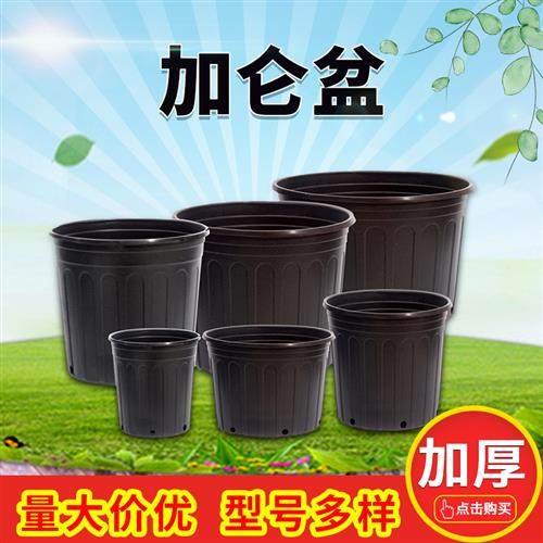 批量供黑色软加仑盆1加仑2加仑5加仑苗圃种植基地