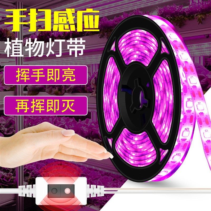 le灯带usb植物生长灯带5v全光谱植物灯带USB触摸手扫感应植物灯,家装灯饰光源,其它灯具灯饰,淘宝优惠券,粉丝福利购,淘宝优惠卷