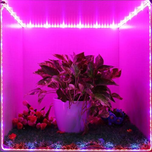 花卉蔬菜养殖灯LE5050灯带12V防水灯带多肉类软灯条植物生长灯带