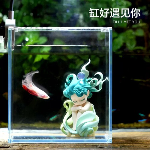 小型桌面玻璃生态景观懒人鱼缸