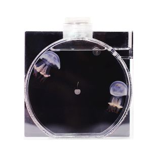 SmartF迷你桌面水母缸鱼缸生态发光水母瓶七彩遥控变色儿童节礼品