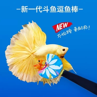 泰国斗鱼棒逗鱼棒斗鱼玩具展尾互动小工具斗鱼专用挑逗原创设计