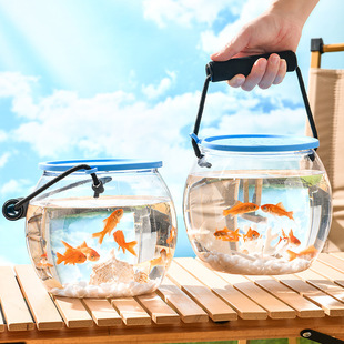 塑料小鱼缸微景观生态缸创意水缸鱼缸客厅2025新款 鱼 高颜值装