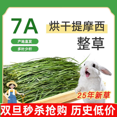 7A新25年烘干提摩西草精品北提干草兔子粮饲料荷兰猪龙猫牧草500g