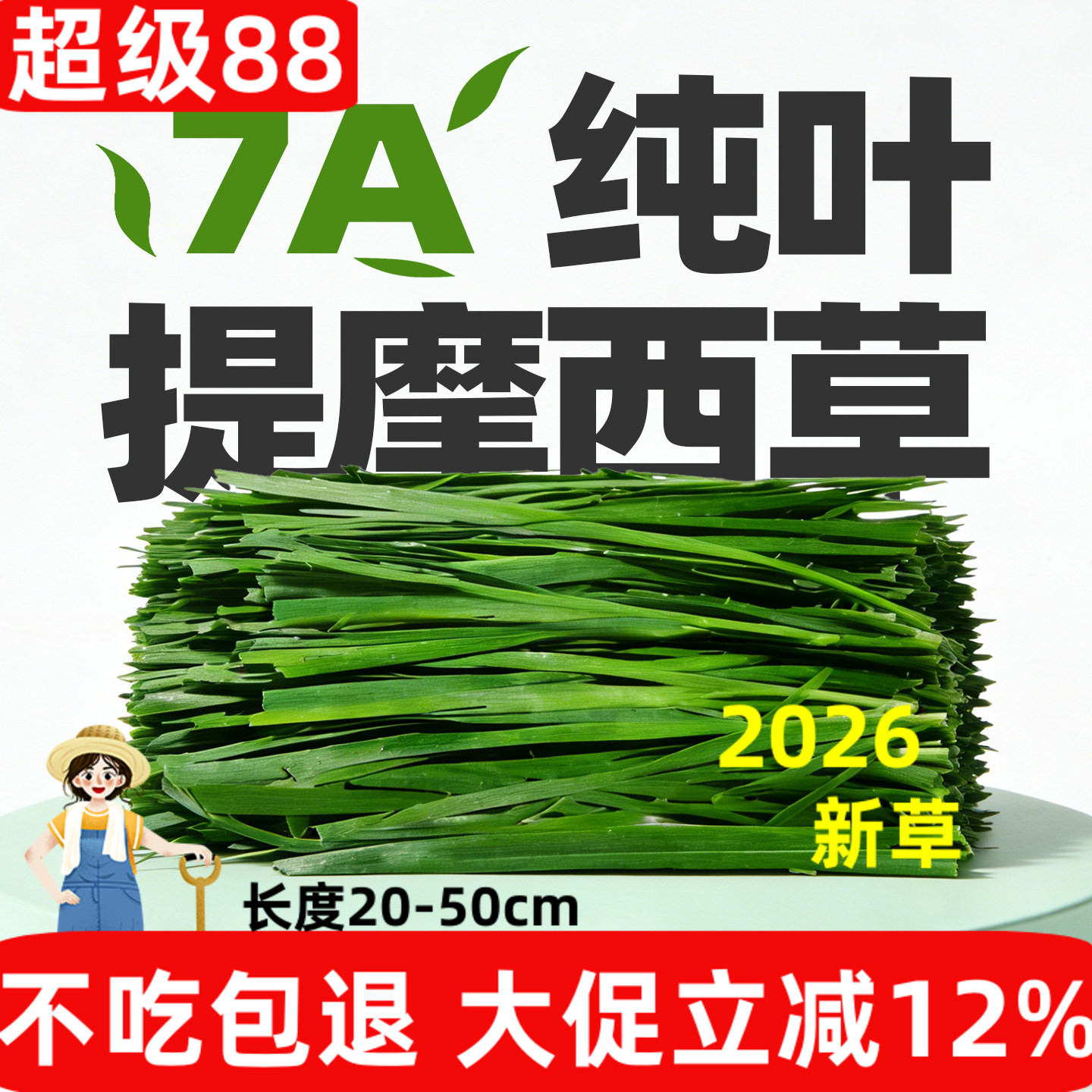 新纯叶烘干提摩西草段兔粮干草全阶段兔子龙猫荷兰猪草料牧草北提图片
