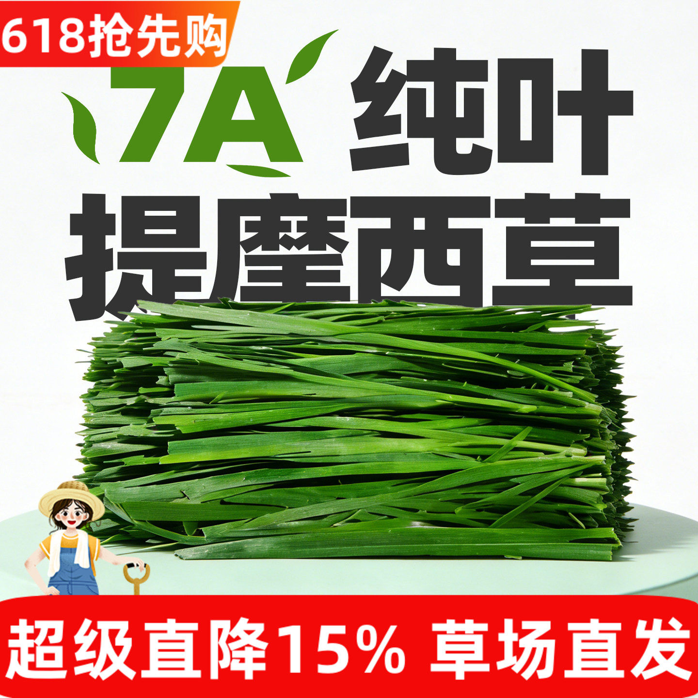 新纯叶烘干提摩西草段兔粮干草全阶段兔子龙猫荷兰猪草料牧草北提