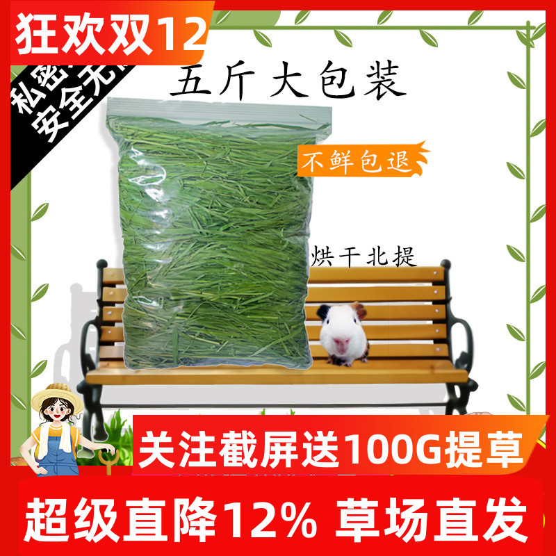 7A精品烘干提摩西草干草北提草兔子草兔粮龙猫豚鼠荷兰猪粮食牧草
