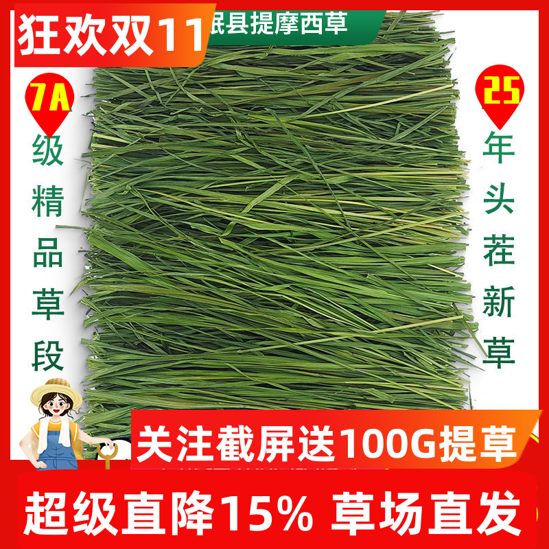 7A级25年新精品烘干提摩西草段兔子草龙猫荷兰猪牧草岷县北提500g