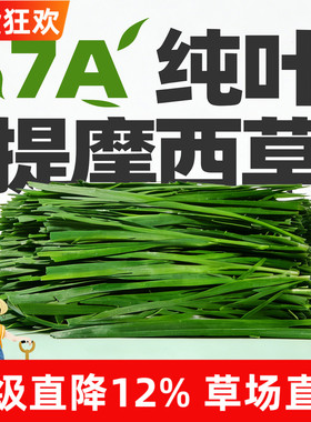 新纯叶烘干提摩西草段兔粮干草全阶段兔子龙猫荷兰猪草料牧草北提