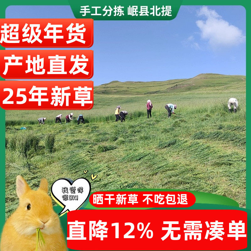 25年新提摩西草精品兔子干草荷兰猪猪粮龙猫牧草晒干北提岷县500g