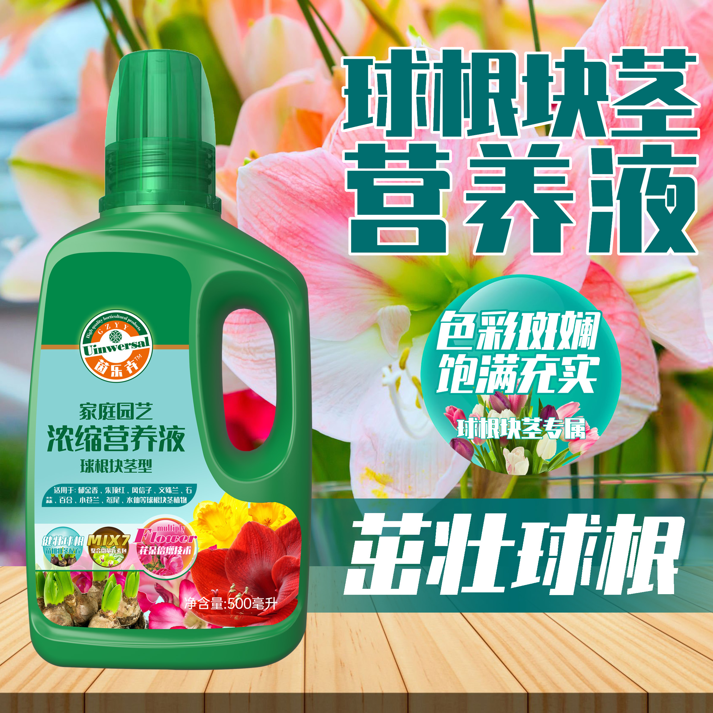 球根块茎朱顶红百合仙客来营养液