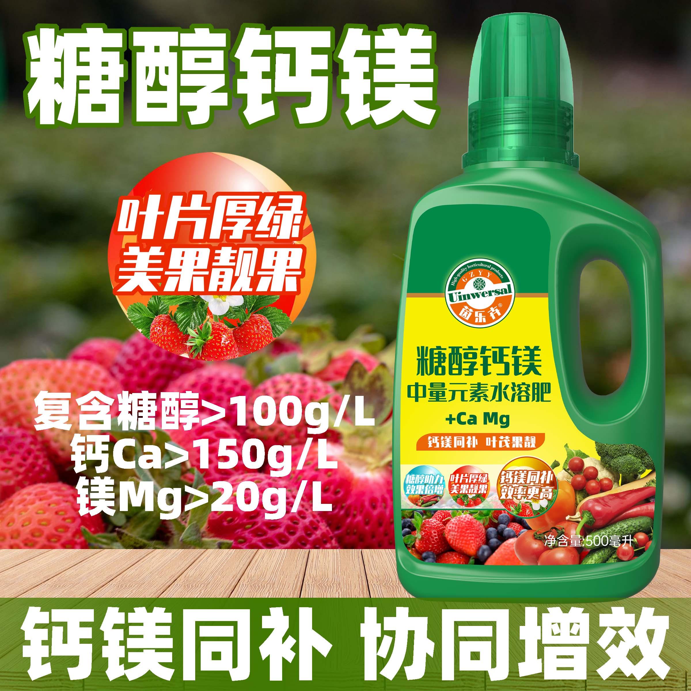 富贵竹营养液绿萝花卉家用植物图片