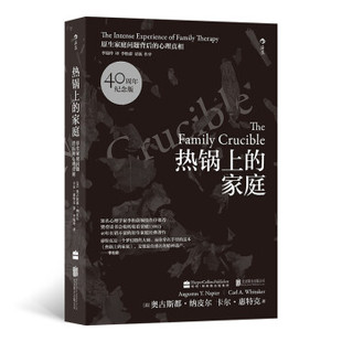 美 满45元 家庭：原生家庭问题背后 奥古斯都·纳皮尔 Napier 正版 包邮 卡尔· 热锅上 Augustus 心理真相