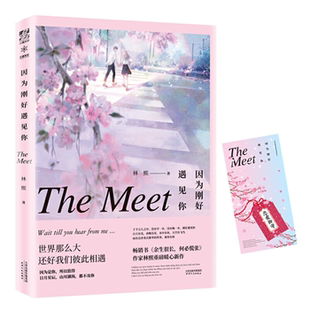 【正版】因为刚好遇见你林熙天津人民出版社