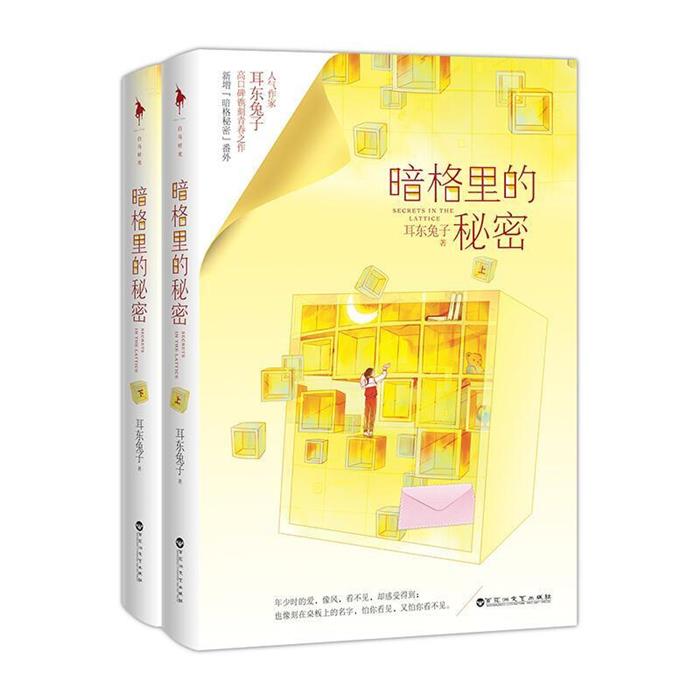 【正版】暗格里的秘密/耳东兔子耳东兔子百花洲文艺出版社