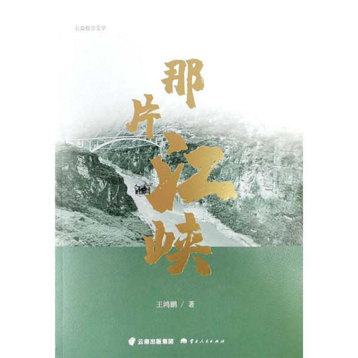 【正版】那片江峡王鸿鹏云南人民出版社