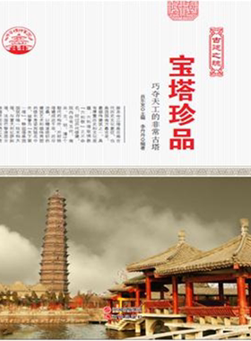 【正版】中华精神家园:古建之魂--宝塔珍品:巧夺天工的非常