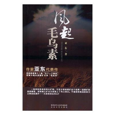 【正版】风起毛乌素亚东太白文艺出版社