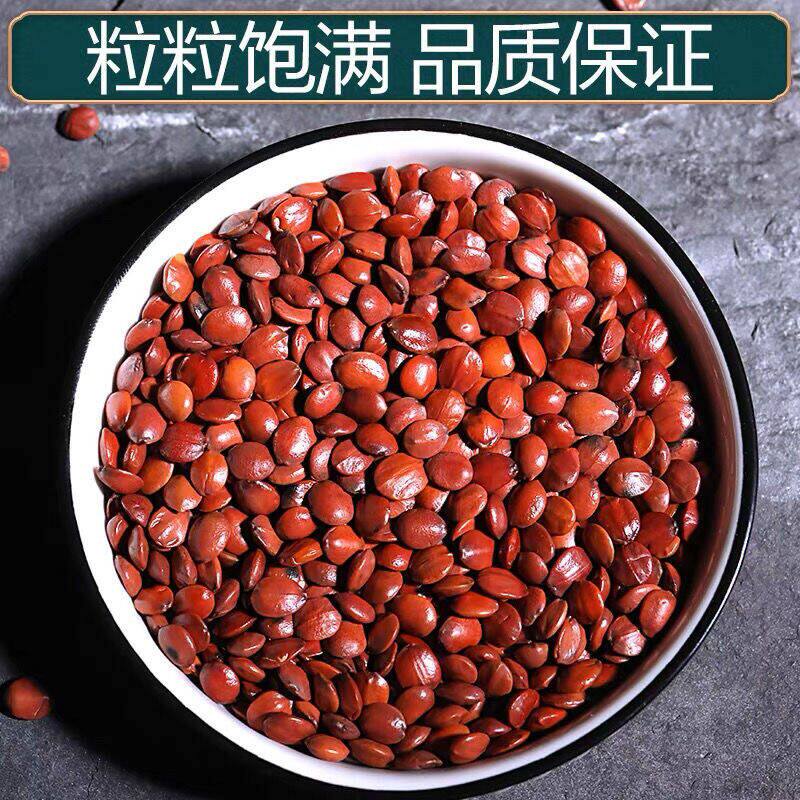 酸枣种子净籽南酸枣仁种子酸枣核种子枣子种子枣树种子盆栽庭院