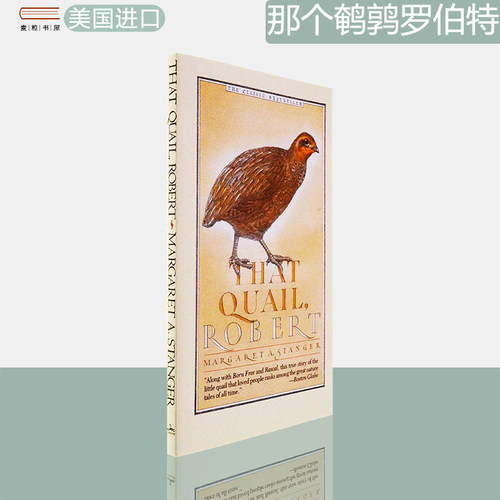 ThatQuail,Robert鹌鹑罗伯特