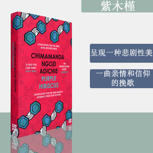 奇玛曼达恩戈兹阿迪契小说