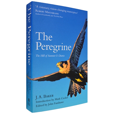 现货英版游隼ThePeregrine贝克