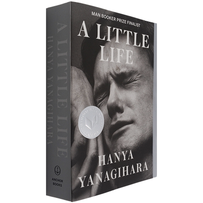 【现货】A Little Life 渺小一生 小生活 布克奖获奖小说 柳原汉雅 Hanya Yanagihara 林中秘族作者 正版进口 英文原版书