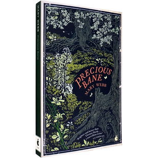 【现货】Precious Bane (Virago Modern Classics) 珍贵的毒药 Mary Webb 玛丽·韦布 英版进口 经典系列