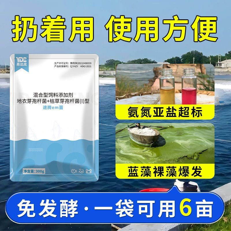 速腾em菌分解酶水产养殖蓝藻克星降氨氮亚盐em菌种原种蓝藻速灭