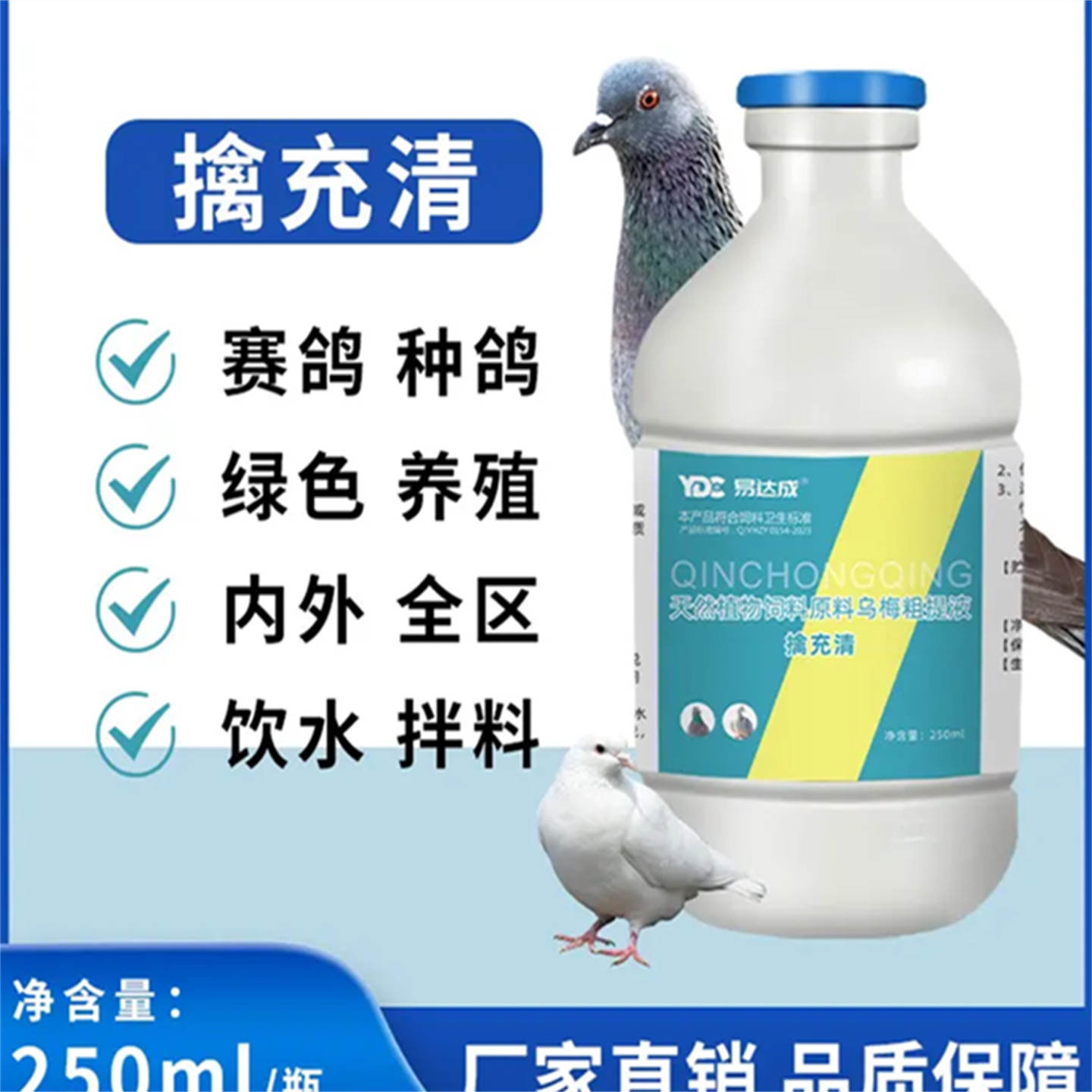 鸽子赛鸽家禽通用线虫蛔虫