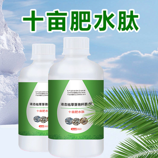 十亩肥水肽水产养殖氨基酸浓缩肥水宝低温快速肥水膏虾蟹鱼塘培藻