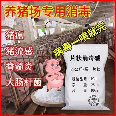 养殖场消毒油烟机处理碱片纯碱