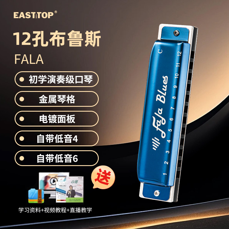 easttop东方布鲁斯口琴12孔