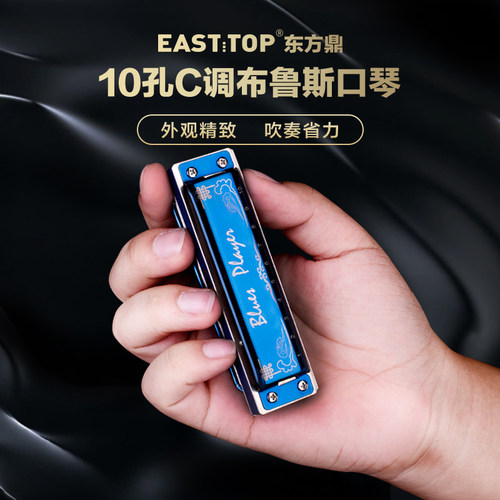 蓝调布鲁斯10孔PR020初学口琴