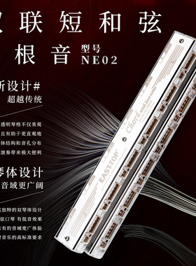 带根音24组短和弦口琴双联短和弦带根音NE02合奏口琴演奏专业乐队